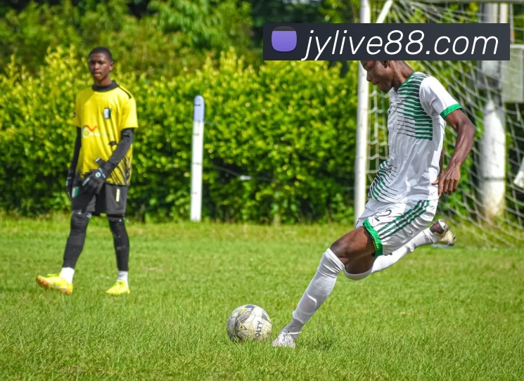 极悦娱乐官网发展历程